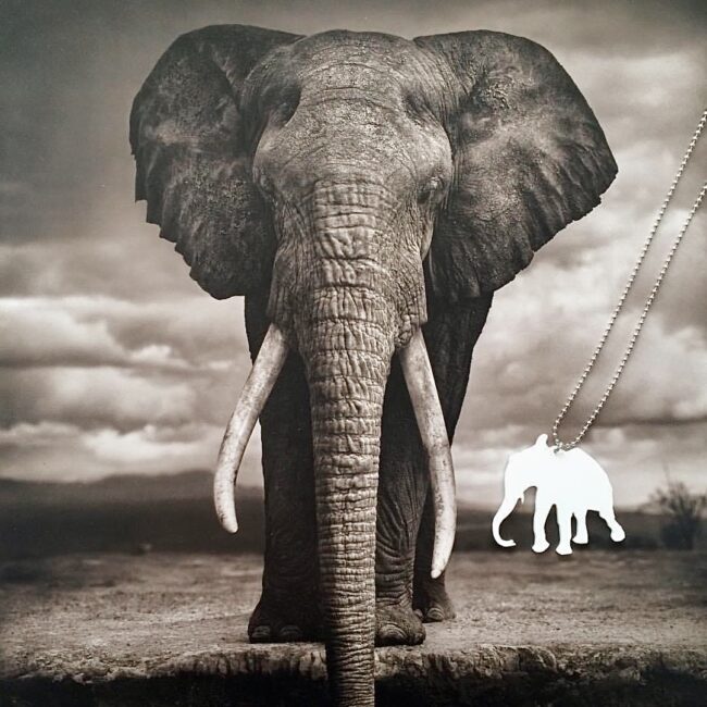 Anton Norsu eläin valkoinen kaulakoru titiMadam Anton Norsu eläin valkoinen kaulakoru titiMadam