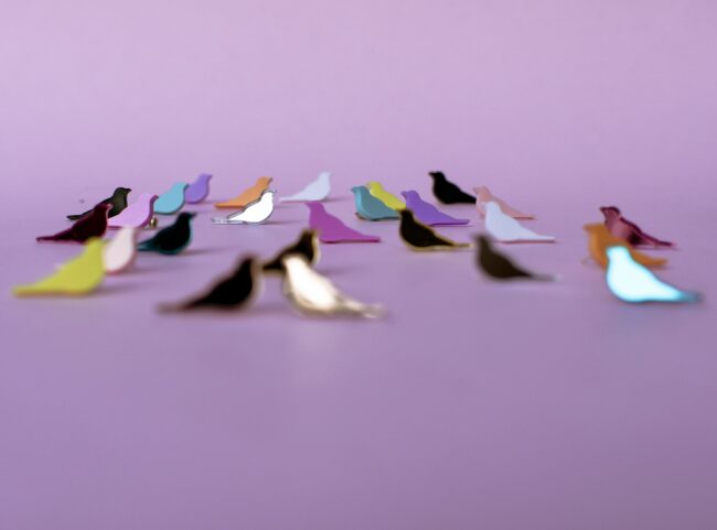 Ben Lintu Pienet Eläin Nappikorvakorut Lapsille titiMadam Jewelry Ben Lintu Pienet Eläin Nappikorvakorut Lapsille titiMadam Jewelry